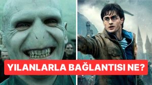 yapay-zekaya-sorduk-harry-potterdaki-voldemortun-neden-burnu-yok-rmfUvM7v.jpg