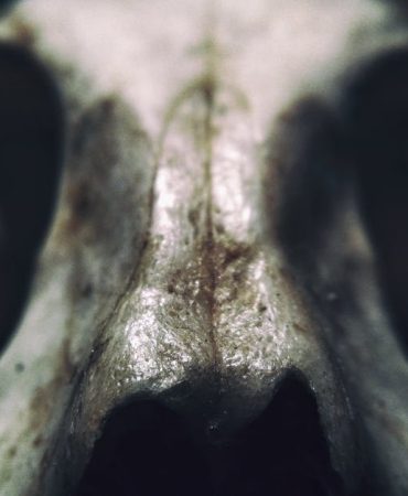 Gulben-Ergen8217den-Sanat-Camiasina-Sert-Elestiri-8220Korku-Iliklere-Islemis8221-featured