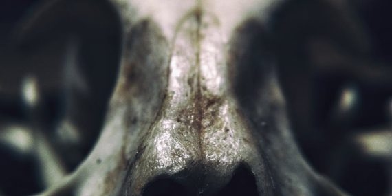 Gulben-Ergen8217den-Sanat-Camiasina-Sert-Elestiri-8220Korku-Iliklere-Islemis8221-featured